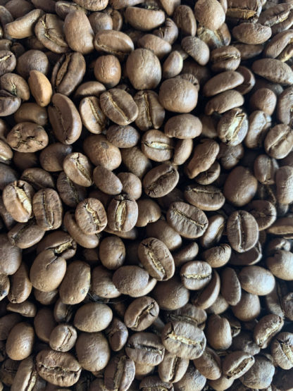 NICARAGUA - MONBACHO 100% ARABICA