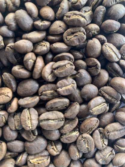 SALVADOR SAN JORGE - PACAS BOURBON 100% ARABICA